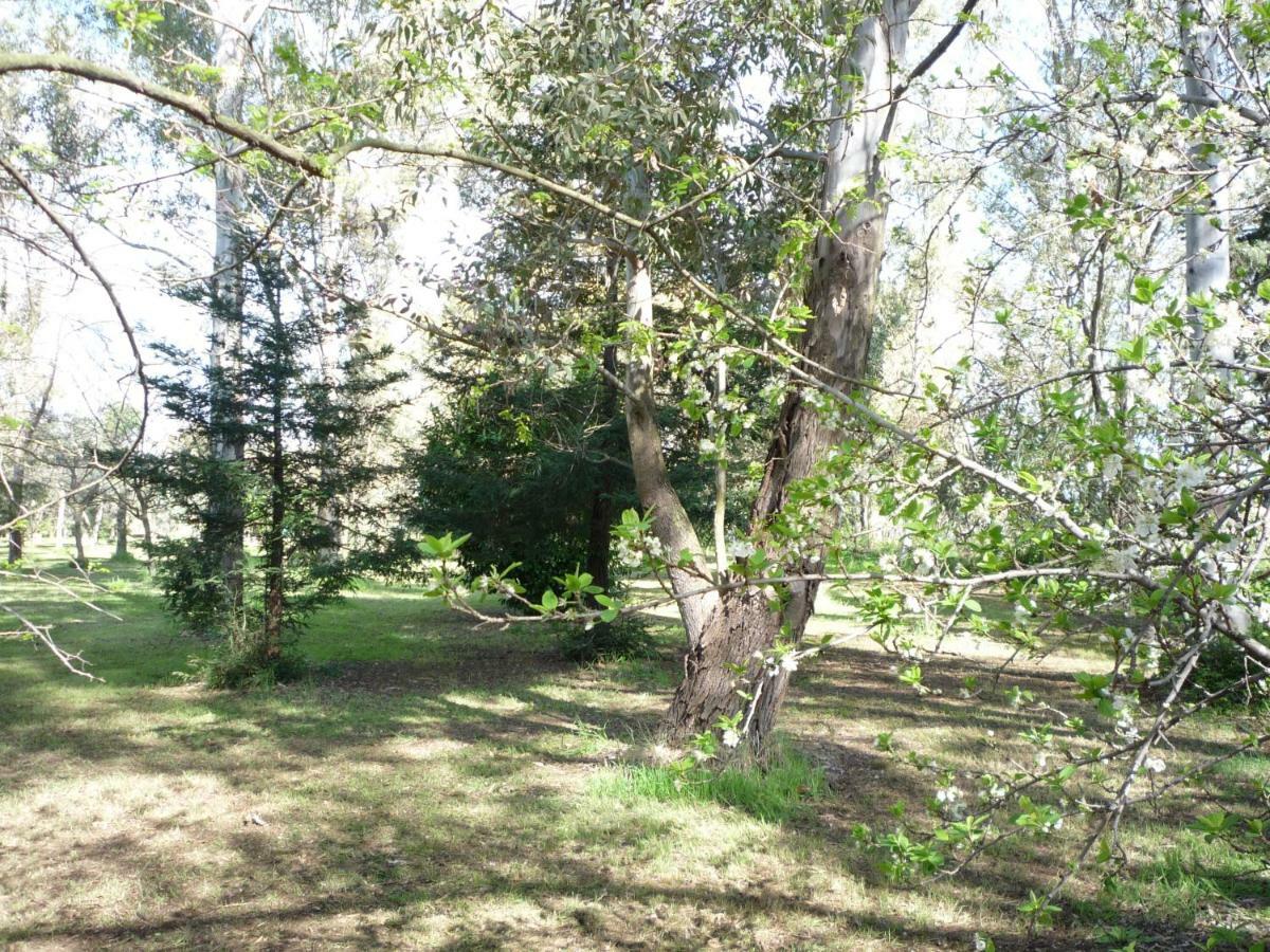Agriturismo La Giannottola Aprilia Buitenkant foto